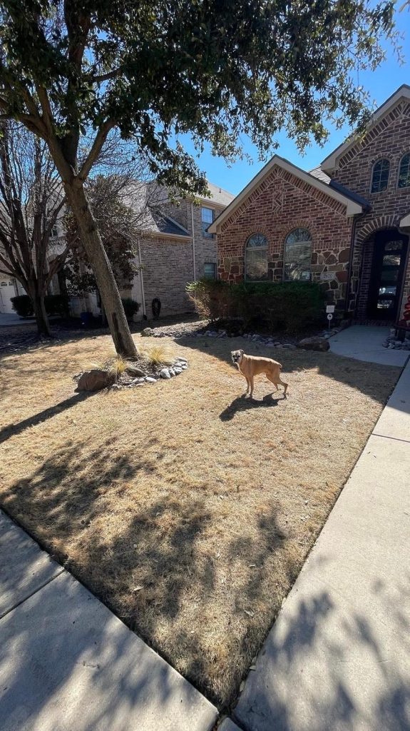 Landscaper in McKinney TX